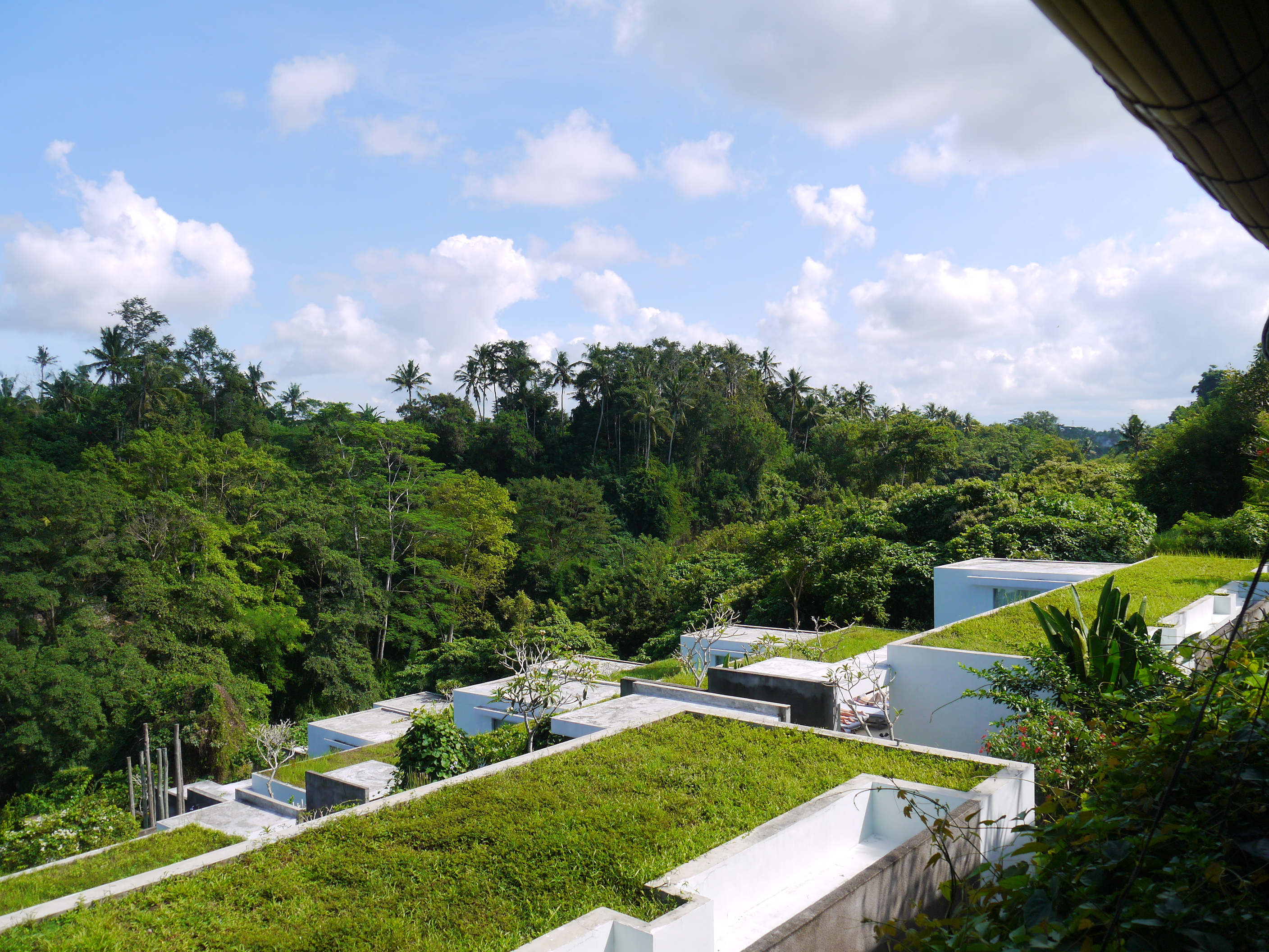 Villa Ubud Corner 88